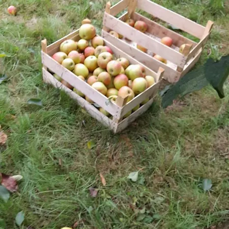 A La Ferme La Petite Ecole 5 Personnes *